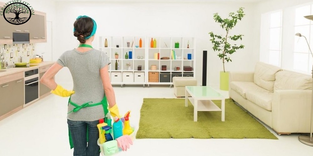 House Clearance Easy Ways to Maintain Your Home Clean Clear The Lot