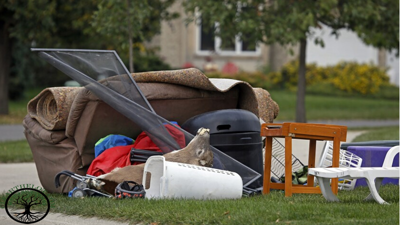 House Clearance | House Clearance Near Me
