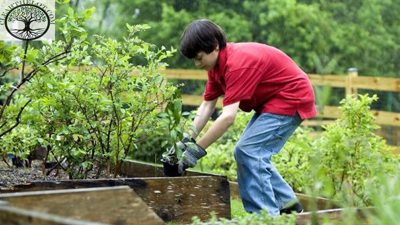 House Clearance | House Clearance Near MeGarden Clearance | Garden Clearance near me