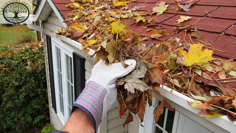 House Clearance | House Clearance Near Me