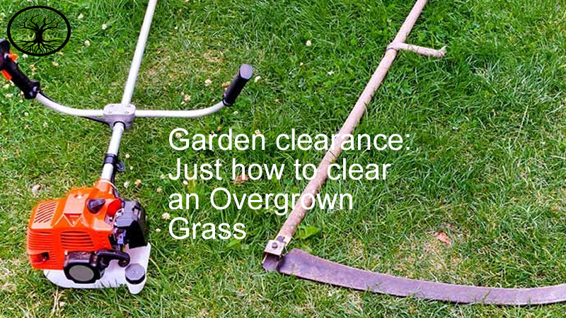Garden Clearance | Garden Clearance near me