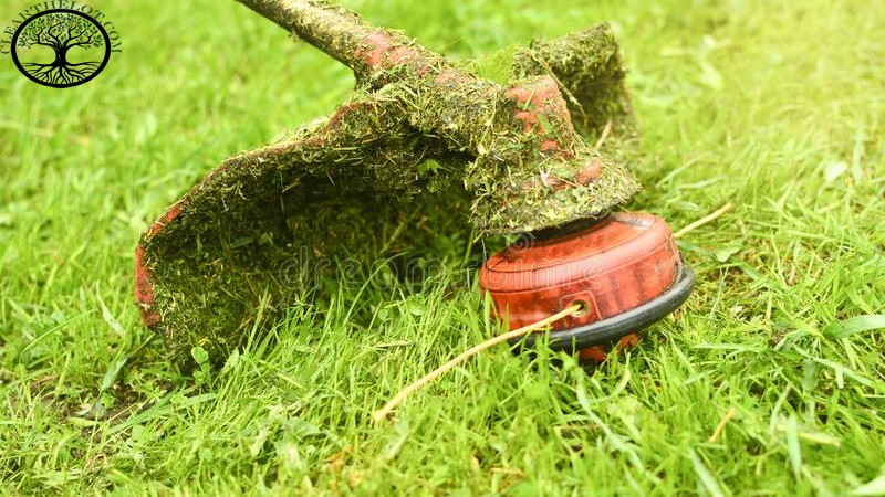 Garden Clearance | Garden Clearance near me