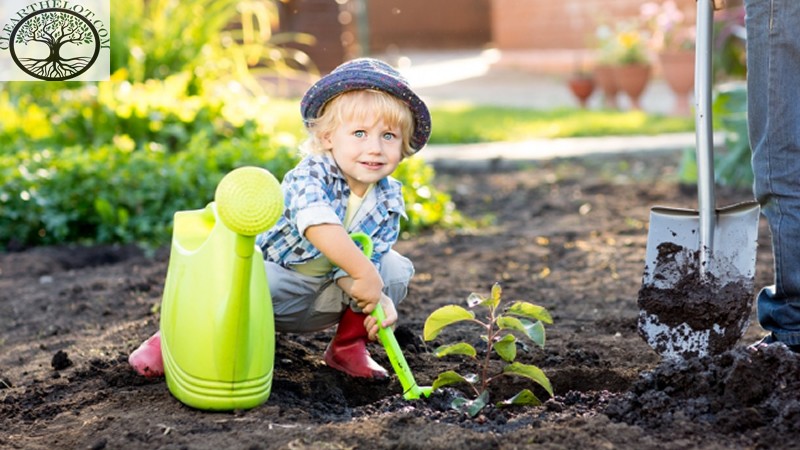 Garden Clearance | Garden Clearance near me