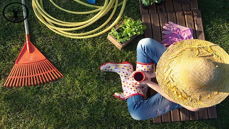 Garden Clearance | Garden Clearance near me