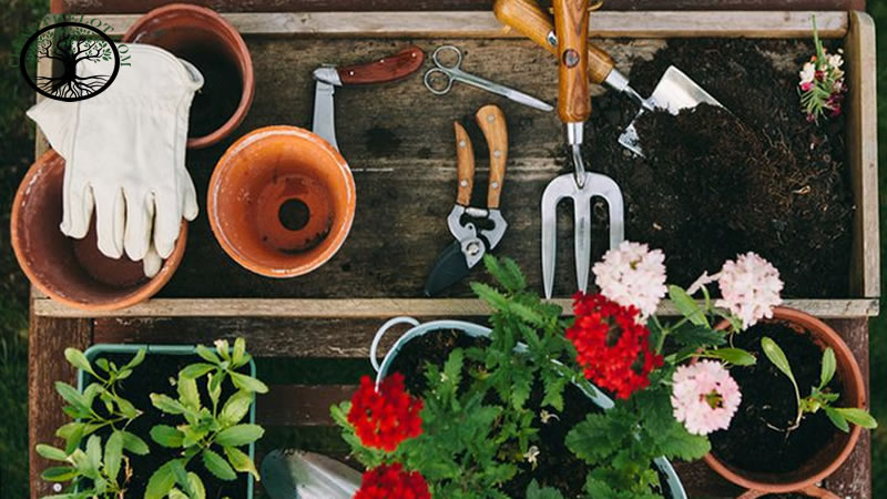 Garden Clearance | Garden Clearance near me