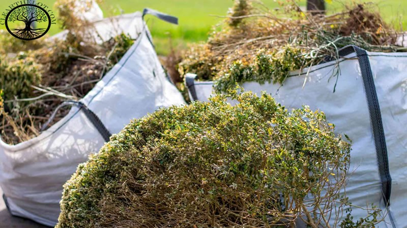 Garden Clearance | Garden Clearance near me