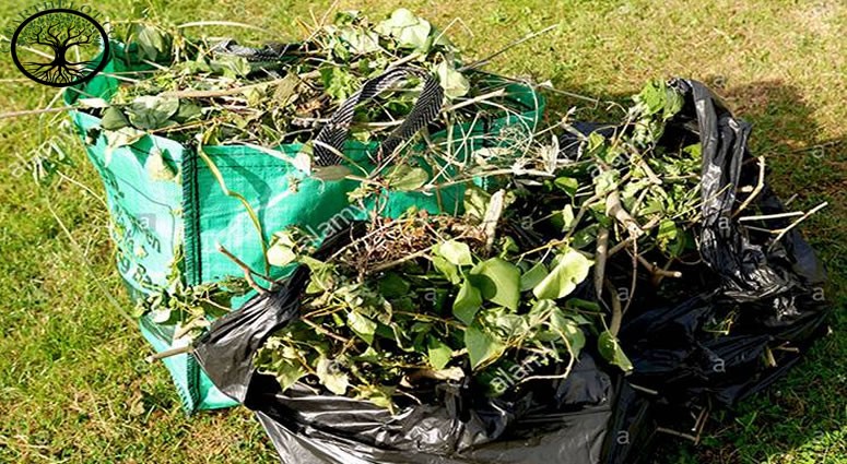 Garden Clearance | Garden Clearance near me