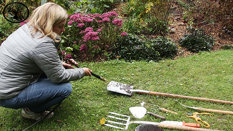 Garden Clearance | Garden Clearance near me