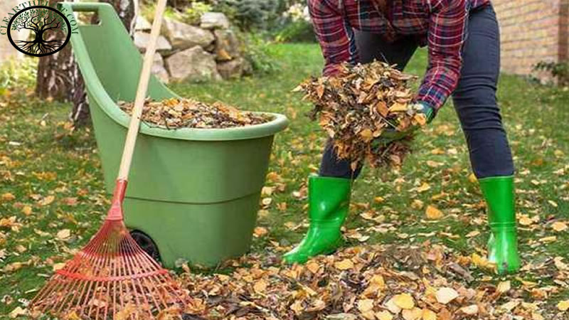Garden Clearance | Garden Clearance near me