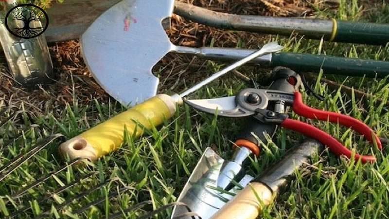 Garden Clearance | Garden Clearance near me