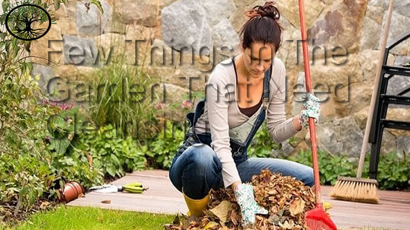 Garden Clearance | Garden Clearance near me