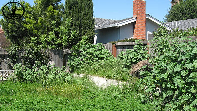 House Clearance | House Clearance Near Me