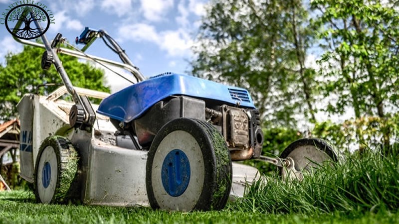 Garden Clearance | Garden Clearance near me