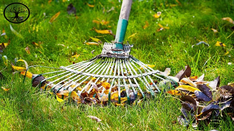 Garden Clearance | Garden Clearance near me