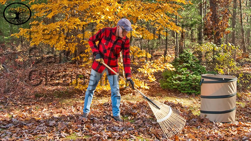 Garden Clearance | Garden Clearance near me