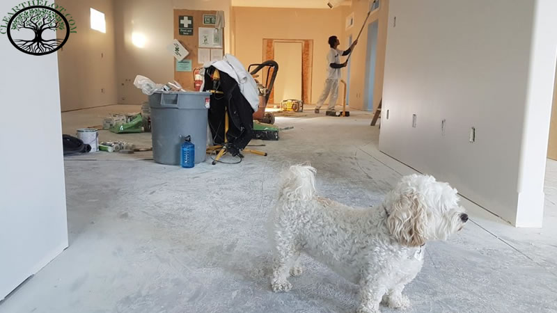 House Clearance | House Clearance near me