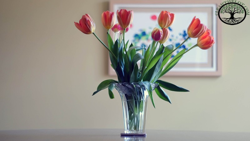House Clearance | House Clearance Near Me