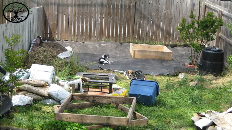 House Clearance | House Clearance near me