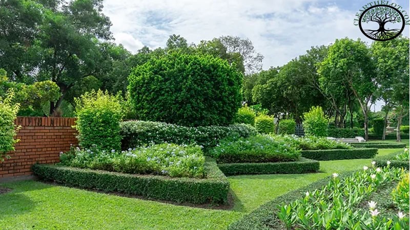 Garden Clearance | Garden Clearance near me