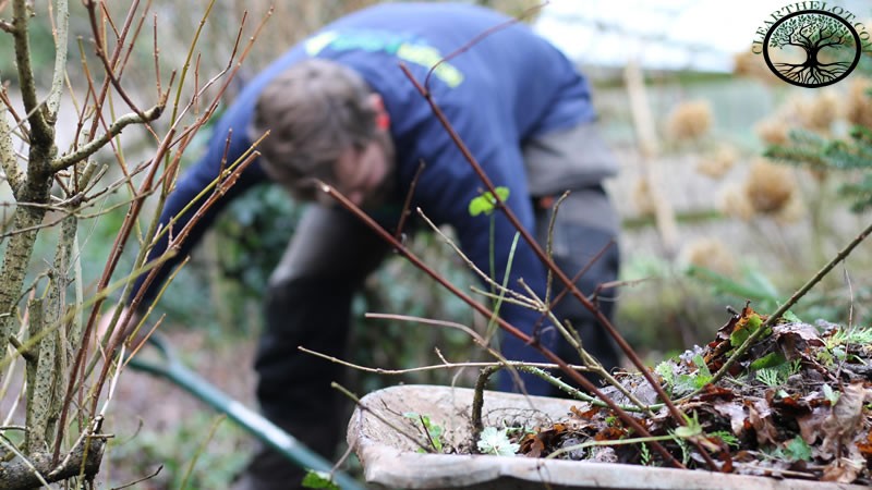 Garden Clearance | Garden Clearance near me
