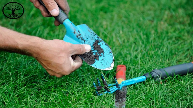 Garden Clearance | Garden Clearance near me