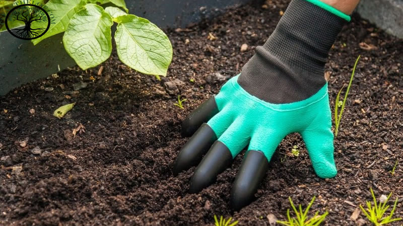 Garden Clearance | Garden Clearance near me