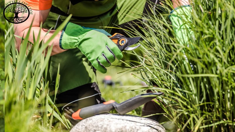 Garden Clearance | Garden Clearance near me