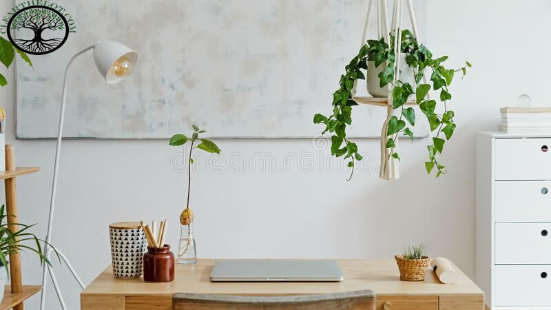 House Clearance | House Clearance near me