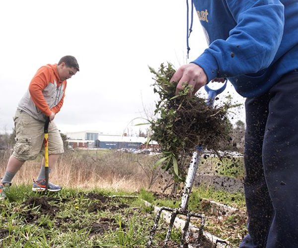 Garden Clearance | Garden clearance near me