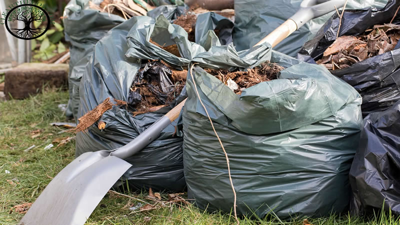 Garden Clearance | Overgrown Garden Clearance