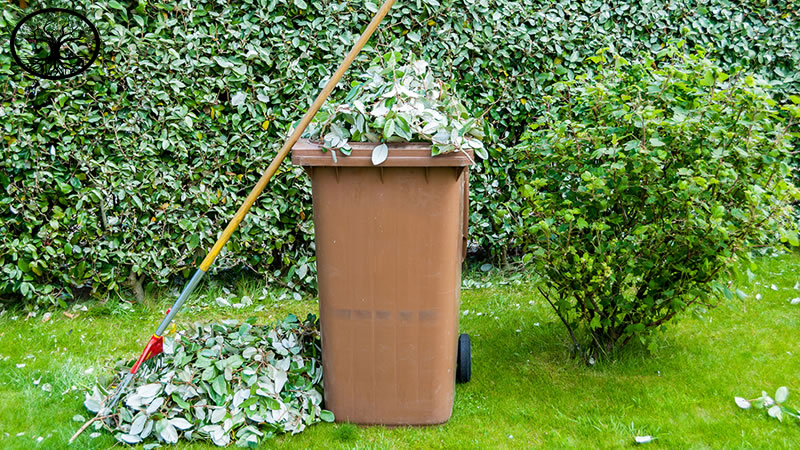 Garden Clearance | Overgrown Garden Clearance