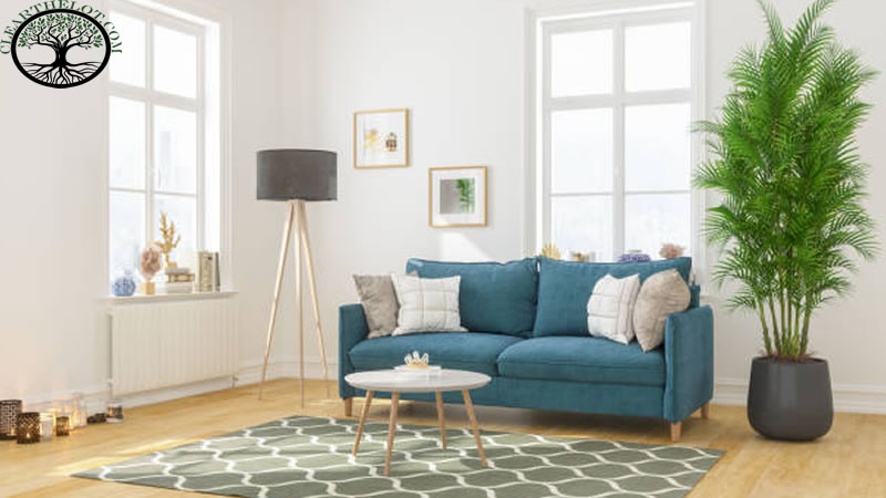 House Clearance | House clearance near me