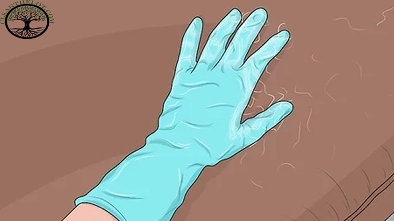 House Clearance | House clearance near me