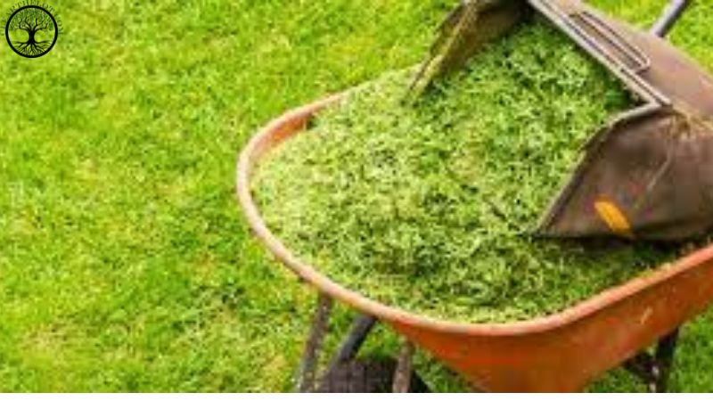 Garden Clearance | Garden clearance near me
