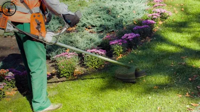 Garden Clearance | Garden clearance near me