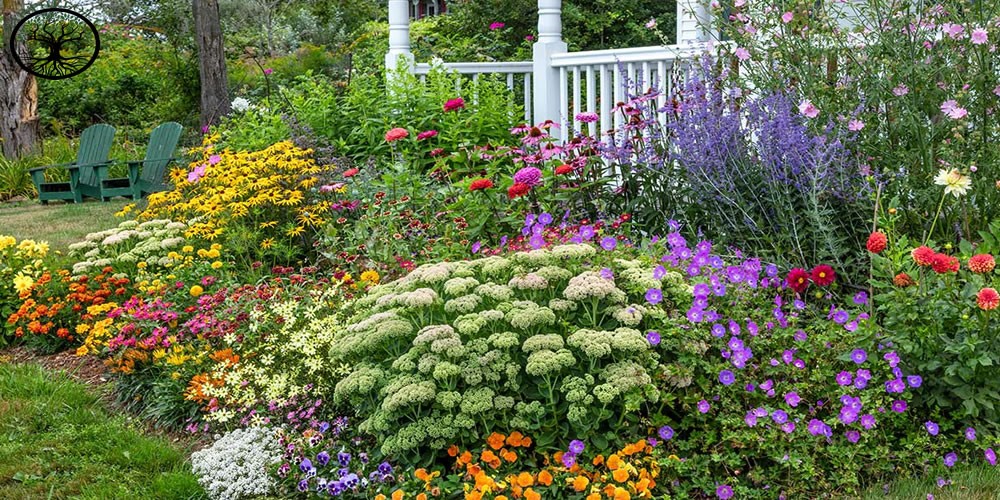 10 hacks for creating a lowmaintenance garden Clearance