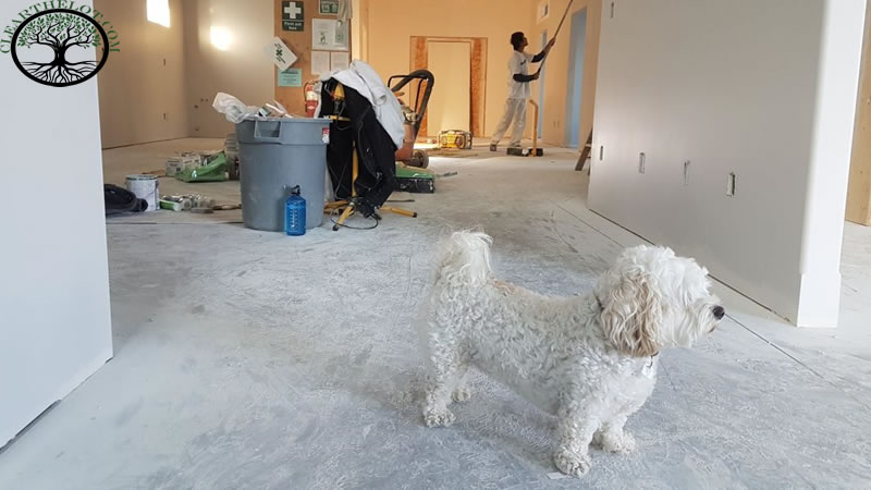 House Clearance | House clearance near me