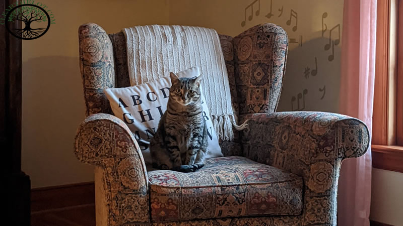 House Clearance | House clearance near me