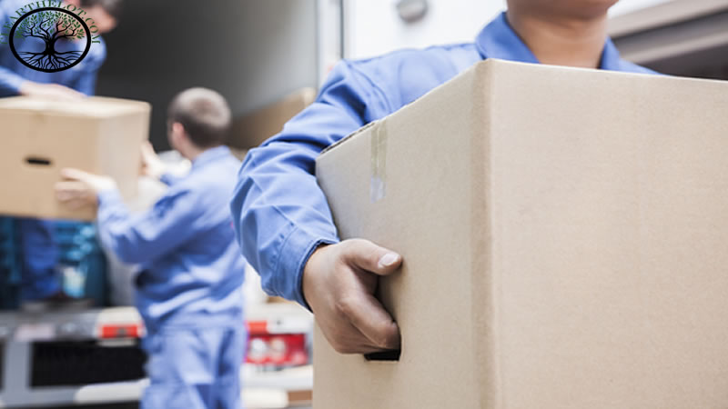 House Clearance | House clearance near me