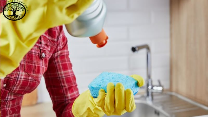 house Clearance | house clearance near me