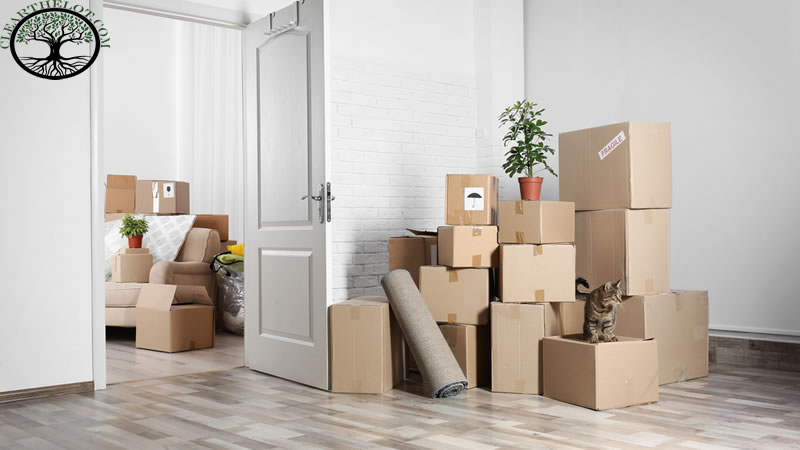 House Clearance | House clearance near me
