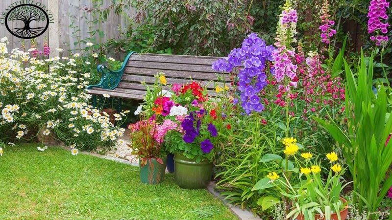 Garden Clearance | Garden clearance near me