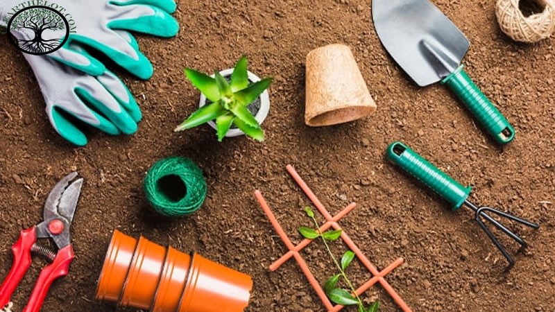 Garden Clearance | Garden clearance near me