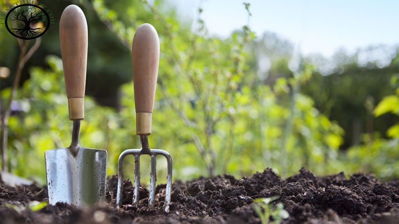 Garden Clearance | Garden clearance near me