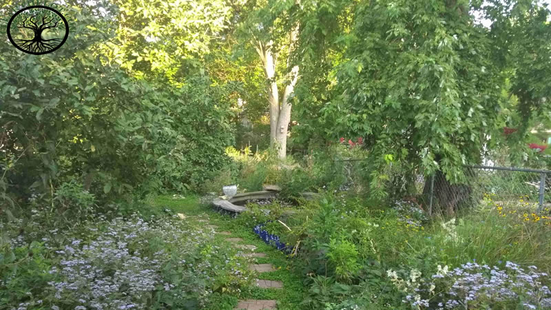 Garden Clearance | Garden clearance near me