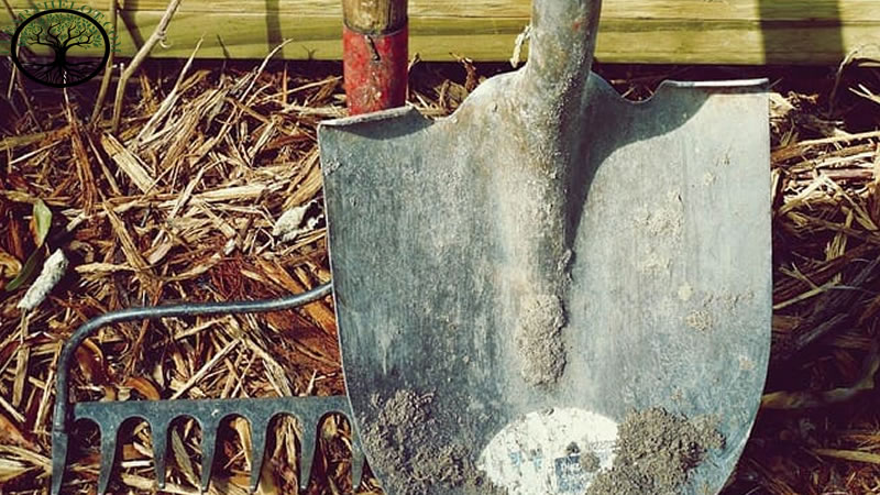 Garden Clearance | Garden clearance near me