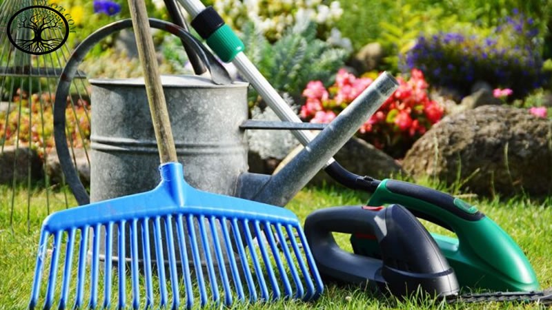 Garden Clearance | Garden clearance near me