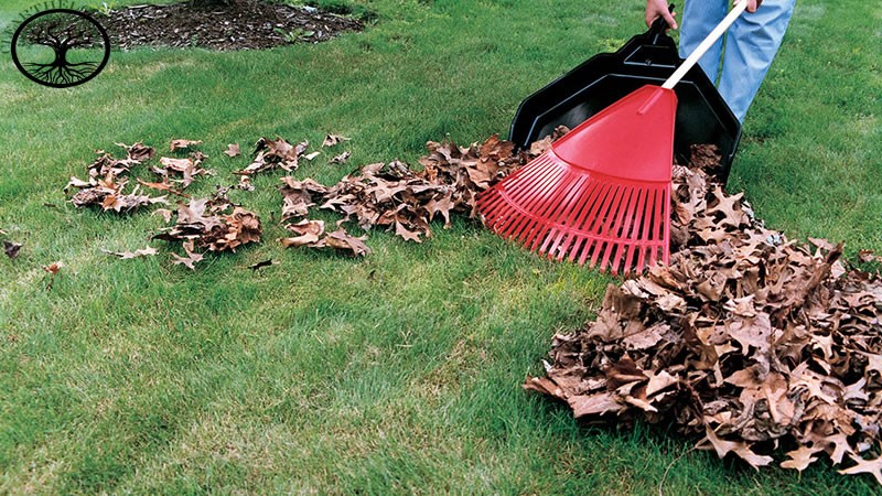 Garden Clearance | Garden clearance near me