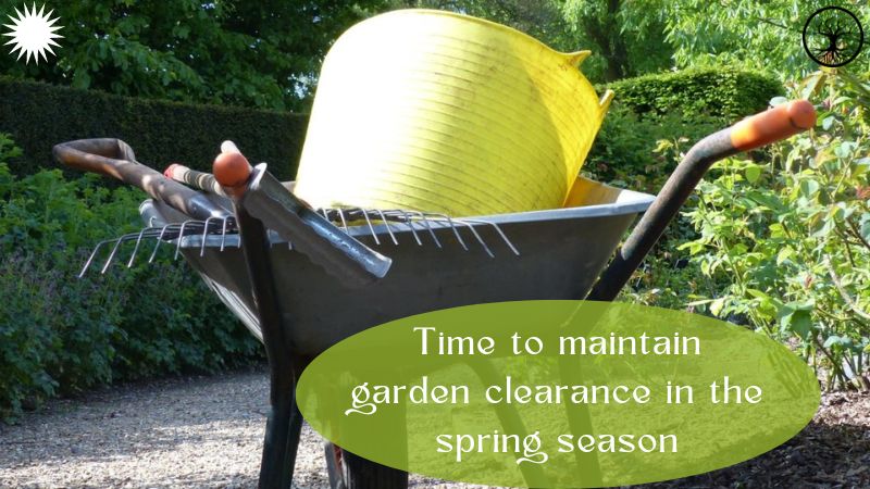 garden Clearance | garden clearance near me