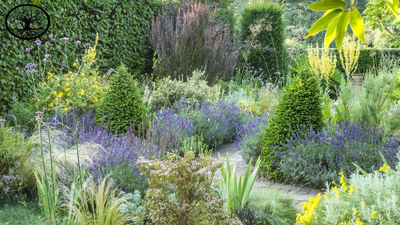 Garden Clearance | Garden clearance near me